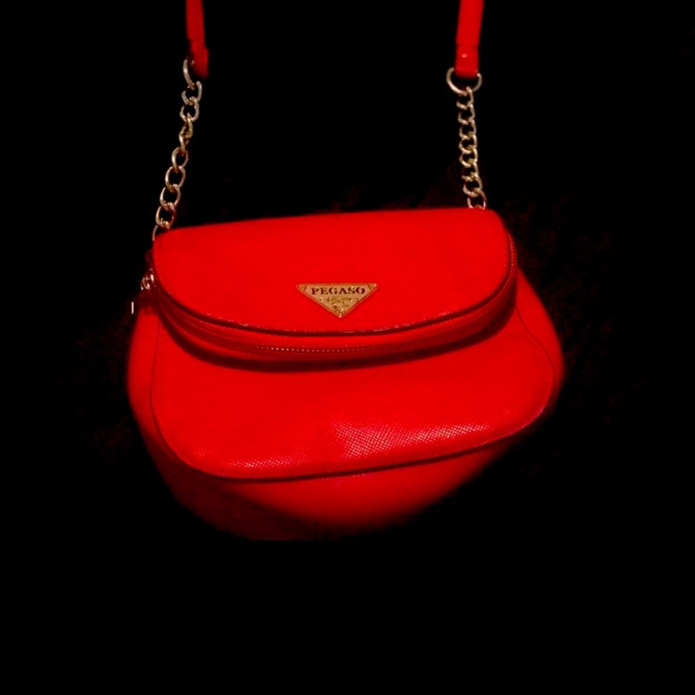 Red Pegaso over the shoulder purse.